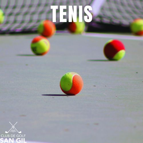 Tenis